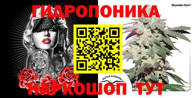 гидра Дубна