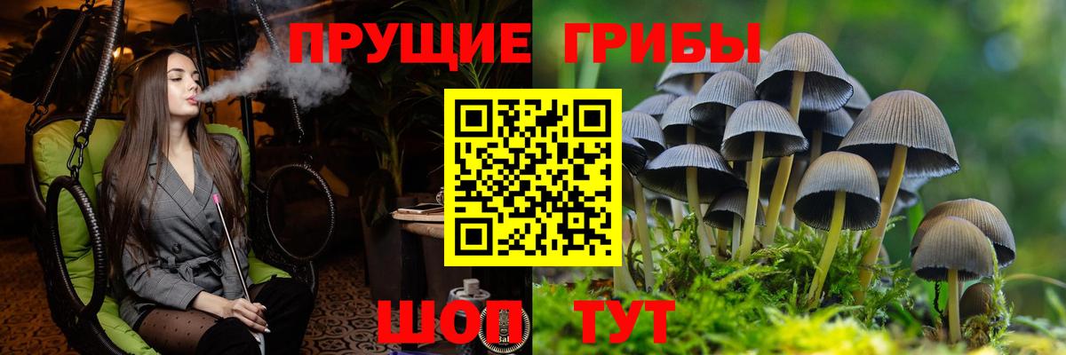 Галлюциногенные грибы MAGIC MUSHROOMS Королёв